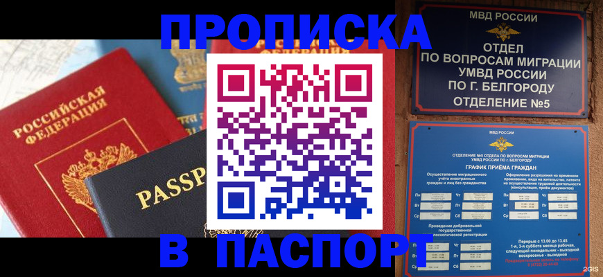временная регистрация надежно в Белгороде